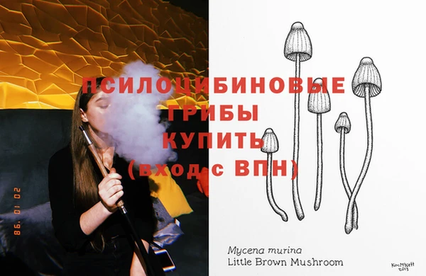 экстази Краснослободск