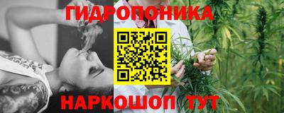 ПСИЛОЦИБИНОВЫЕ ГРИБЫ Заводоуковск