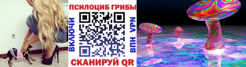 Псилоцибиновые грибы GOLDEN TEACHER  Тутаев 