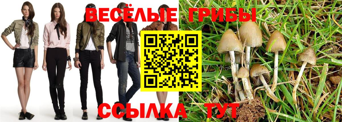 Псилоцибиновые грибы Psilocybine cubensis Тутаев