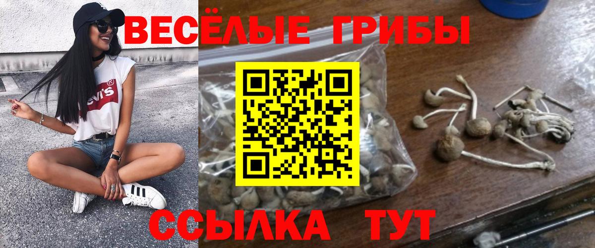 Тутаев  Галлюциногенные грибы прущие грибы  где купить наркотик  Вход с VPN 